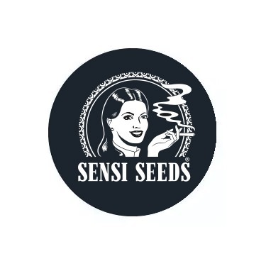 Sensi Seeds Autofiorenti